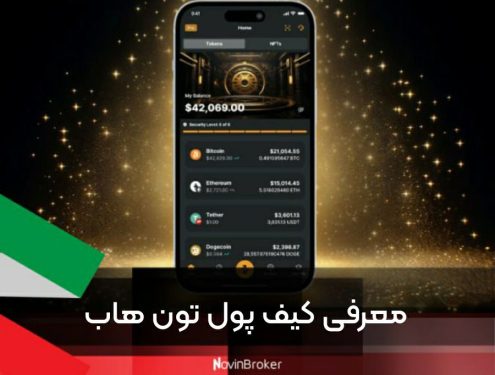 معرفی کیف پول تون هاب